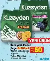 KUZEYDEN MADEN SUYU 6X200 ML
